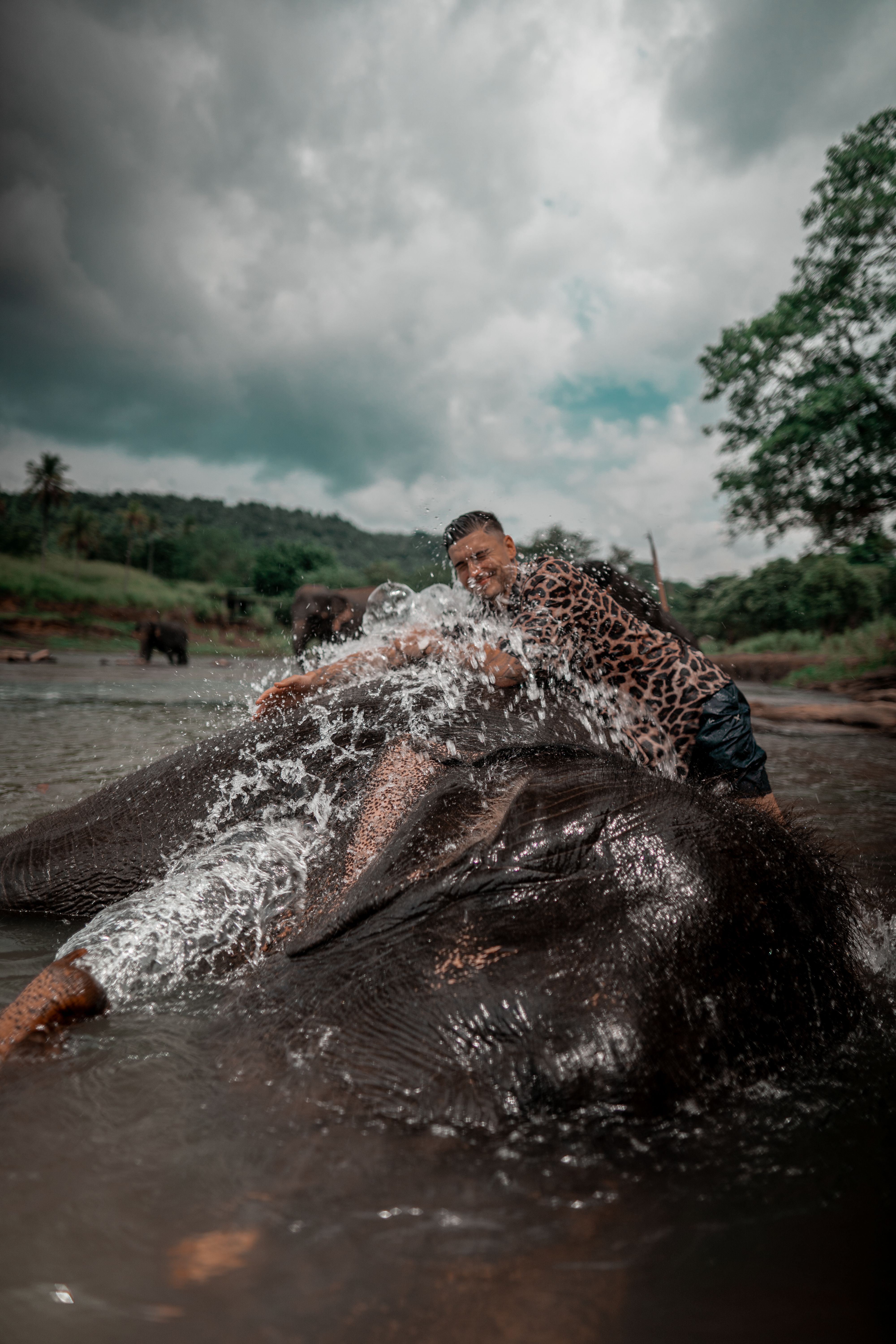 Pinnawala Day Tours