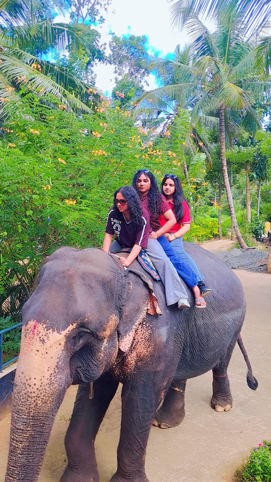 Srimal Lanka Tour Photo 13